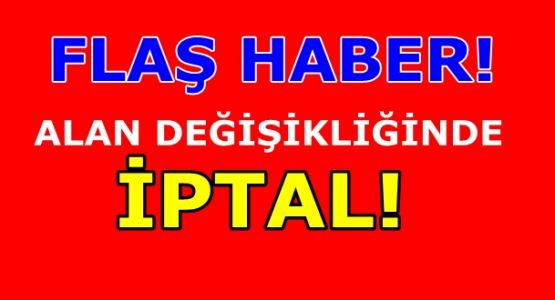 Aes Danıştay’daki Alan Değişikliği Davasını Kazandı