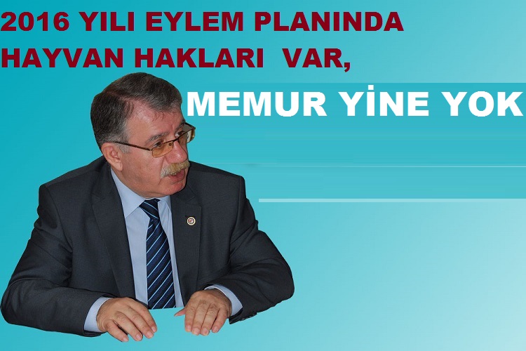 BASK: 2016 Yılı Eylem Planında Hayvan Hakları Var, Memur Yine Yok.