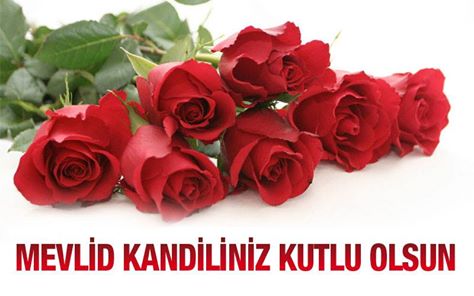 Mevlit Kandili Kutlu Olsun!